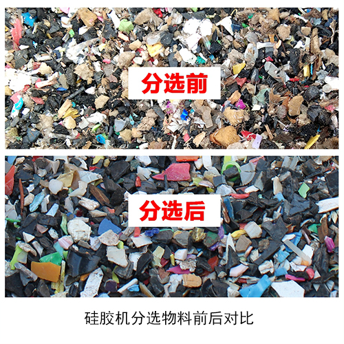 分選前后對比圖